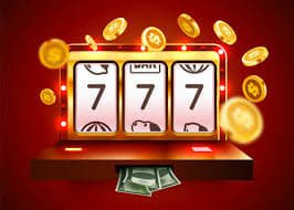 nn bet 55